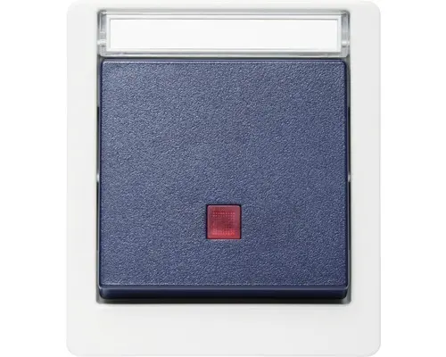 Kontrollschalter Roth Lange IP55 aufputz, grau/blau