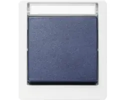 Taster Roth Lange IP55 aufputz, grau/blau