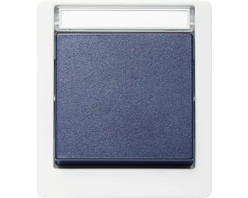 Taster Roth Lange IP55 aufputz, grau/blau