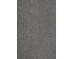 Teppichboden Kräuselvelours Proteus grau 500 cm breit (Meterware)