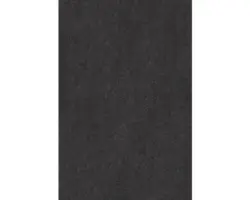 Teppichboden Kräuselvelours Proteus anthrazit 500 cm breit (Meterware)