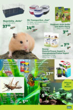 Pflanzen-Kölle Pflanzen-Kölle: Alles für Ihren Liebling - bis 31.03.2024