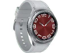 Samsung Galaxy Watch6 Classic R950 43mm BT, Silver; Smartwatch