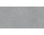 Hornbach Feinsteinzeug Terrassenplatte Phoenix grau 80 x 40 x 3 cm rektifizierte Kante