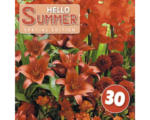 Hornbach Blumenzwiebel-Mix Austrosaat 'Hello Summer! Red' mit Dahlie, Lilie, Gladiole & Freesie 30 Stk.
