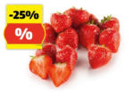 HOFER HOFER MARKTPLATZ Premium Erdbeeren, 400 g