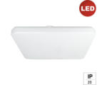 Hornbach LED Deckenleuchte Wandleuchte e2 white² Q 36 W 1-flammig IP 20, weiß (2003501360196)