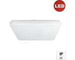 Hornbach LED Deckenleuchte Wandleuchte e2 white² Q 30 W 1-flammig IP 20, weiß (2003540300196)