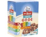 Hornbach Katzenfutter nass MR. BEEF in Sauce 1 Pack 12 x 100 g