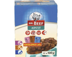 Katzenfutter nass MR.BEEF in Gelee 12x100 g