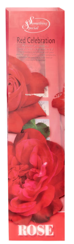 Rosenstrauch, diverse Sorten, Herkunft siehe Verpackung, per Stück