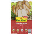 Hornbach Pflanzkartoffel FloraSelf Select 'Mandel' 10 Stk