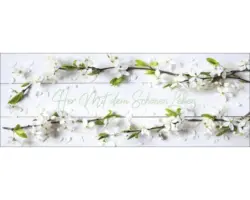 Glasbild Lieblingsplatz 50x125 cm GLA1942