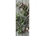 Hornbach Glasbild Herbal Preparation 30x80 cm