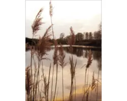 Glasbild Evening At The Lake I 60x80