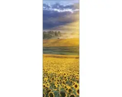 Glasbild Sonnenblumenfeld 30x80 cm GLA856