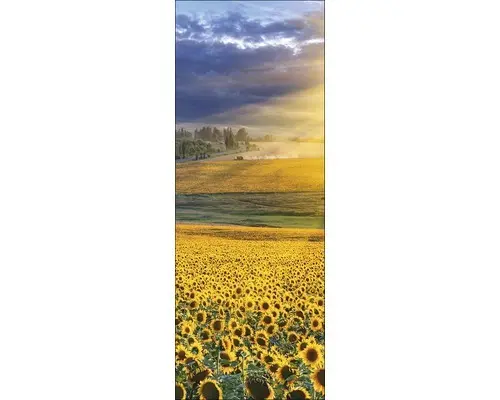 Glasbild Sonnenblumenfeld 30x80 cm GLA856