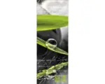 Hornbach Glasbild Ayurveda II 30x80 cm GLA363