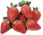 Volg Erdbeeren