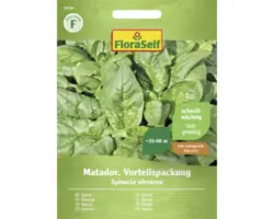 Gemüsesamen FloraSelf Spinat 'Matador'