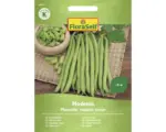 Hornbach Gemüsesamen FloraSelf Buschbohnen 'Modesto'
