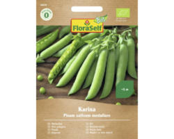 Gemüsesamen FloraSelf Bio Erbsen 'Karina'