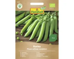 Gemüsesamen FloraSelf Bio Erbsen 'Karina'