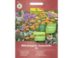 Hornbach Blumenmischung Saatteppich FloraSelf Select ' Blütenteppich '