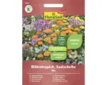 Hornbach Blumenmischung Saatteppich FloraSelf Select ' Blütenteppich '