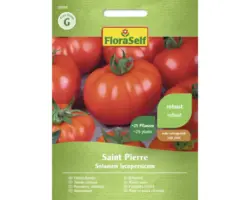 Gemüsesamen FloraSelf Fleischtomate 'Saint Pierre'