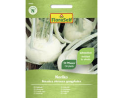 Gemüsesamen FloraSelf Kohlrabi 'Noriko'