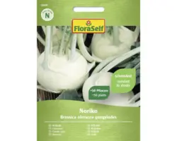 Gemüsesamen FloraSelf Kohlrabi 'Noriko'