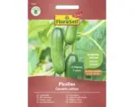 Hornbach Gemüsesamen FloraSelf Select Gurke 'Picolino F1'
