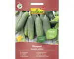 Hornbach Gemüsesamen FloraSelf Select Einlegegurke 'Diamant F1'