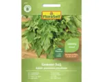 Hornbach Gemüsesamen FloraSelf Sellerie 'Gewone Snij'