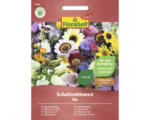 Hornbach Blumenmischung FloraSelf Select für (halb)schattige Standorte 'Schattenblumen'