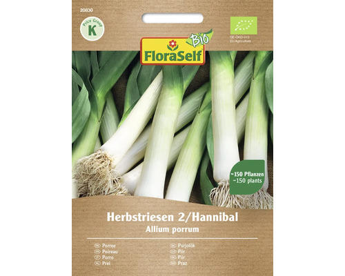 Gemüsesamen FloraSelf Bio Lauch 'Herbstriesen 2/Hannibal'