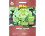 Hornbach Salatsamen Saatband FloraSelf Select Kopfsalat 'Analena'