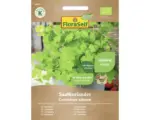 Hornbach Kräutersamen FloraSelf Bio Koriander