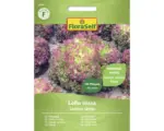 Hornbach Salatsamen FloraSelf Schnittsalat/Pflücksalat 'Lollo rossa'