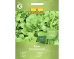 Hornbach Salatsamen FloraSelf Feldsalat/Vogerlsalat 'Favor'