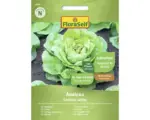 Hornbach Gemüsesamen Salatsamen FloraSelf Kopfsalat 'Analena'