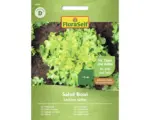 Hornbach Salatsamen FloraSelf Schnittsalat/Pflücksalat 'Salad Bowl'