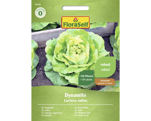 Salatsamen FloraSelf Kopfsalat 'Dynamite'