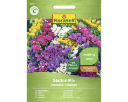 Blumensamen FloraSelf Strandflieder 'Statice Mischung'