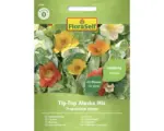 Hornbach Blumensamen FloraSelf Kapuzinerkresse 'Tip-Top Alaska Mischung'