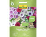 Hornbach Blumensamen FloraSelf Flammenblume/Sommer-Phlox Mischung