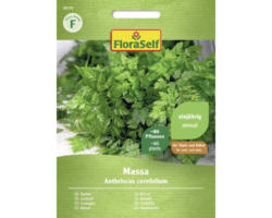 Kräutersamen FloraSelf Kerbel 'Massa'