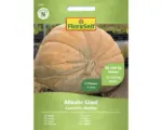 Hornbach Gemüsesamen FloraSelf Kürbis 'Atlantic Giant'