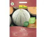 Hornbach Gemüsesamen FloraSelf Select Zuckermelone 'Stellio F1'